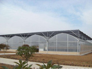 连栋薄膜温室