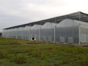 连栋薄膜温室