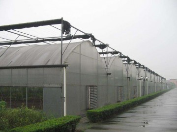 连栋薄膜温室
