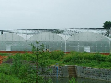 连栋薄膜温室