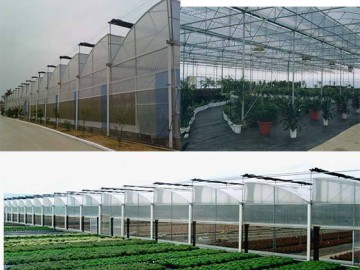 连栋薄膜温室