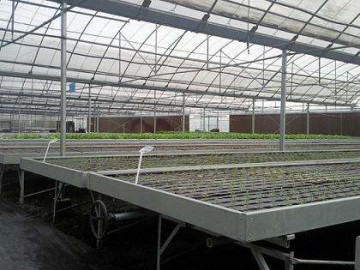 育苗床系统