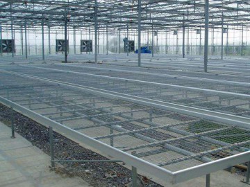 育苗床系统