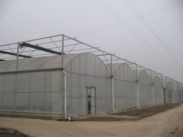 连栋薄膜温室