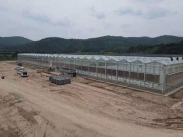 陕西延安南泥湾