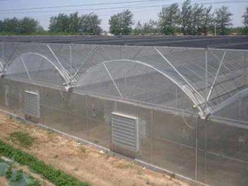 连栋薄膜温室