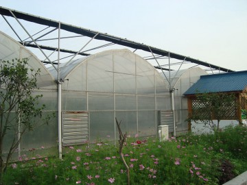 连栋薄膜温室