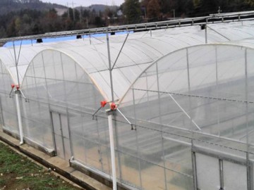 连栋薄膜温室